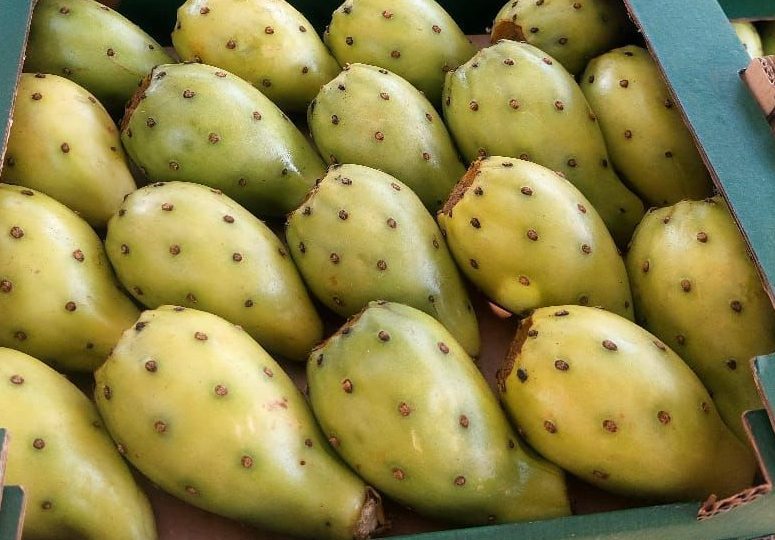 All Seasonal & Non-Seasonal Fruits