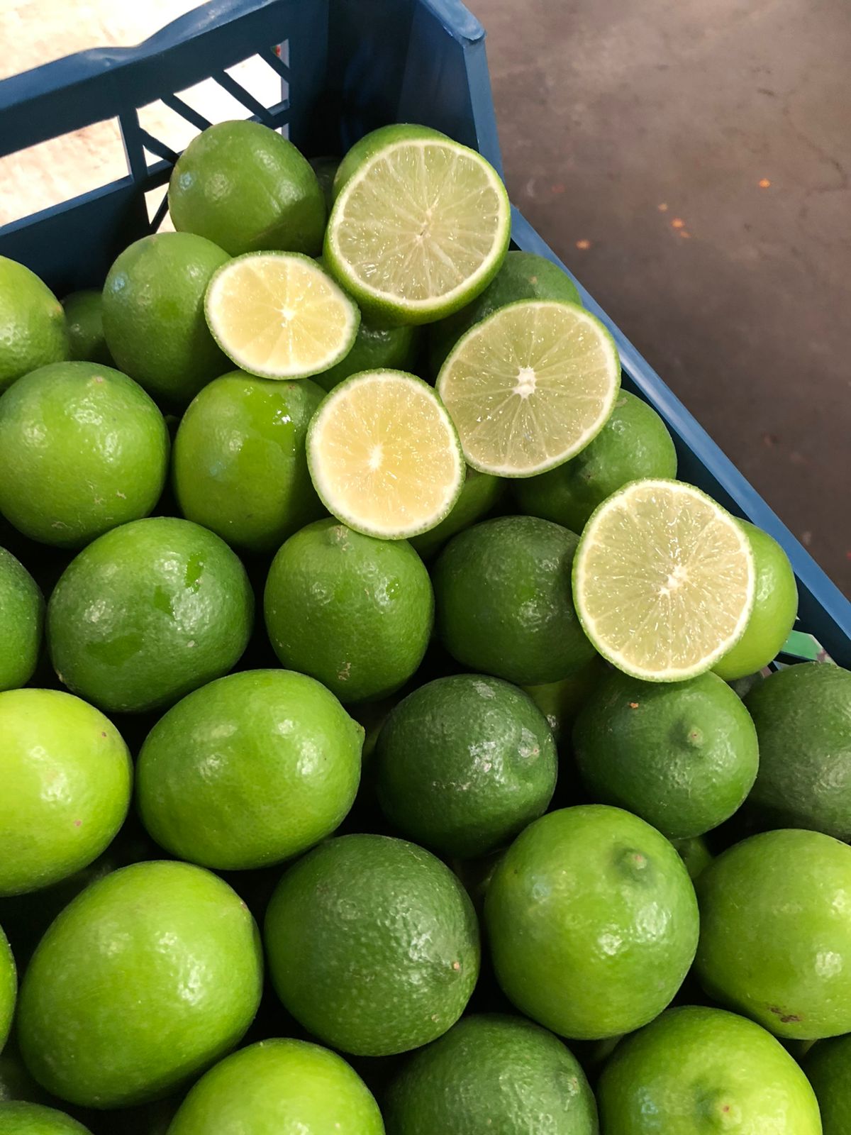 Baladi Lemon-Eureka
