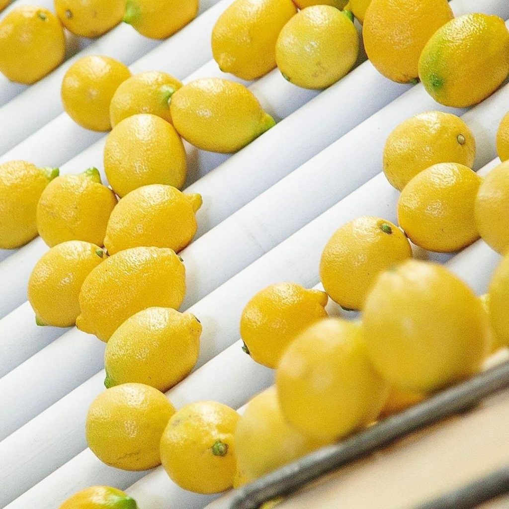 Baladi Lemon -Eureka
