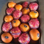 Egyptian Navel Oranges - Global Pioneer Export