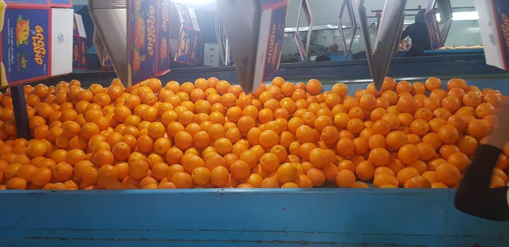 WhatsApp Image 2026 08 27 at 2.05.06 PM 2