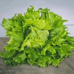 Iceberg Lettuce