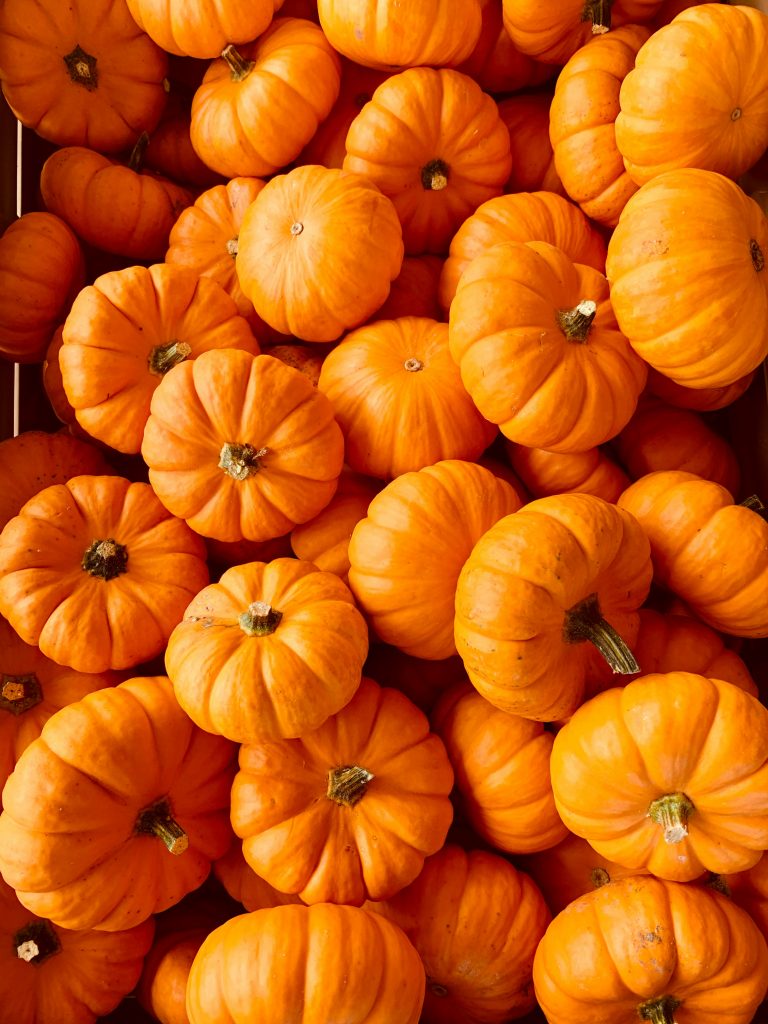 pumpkin