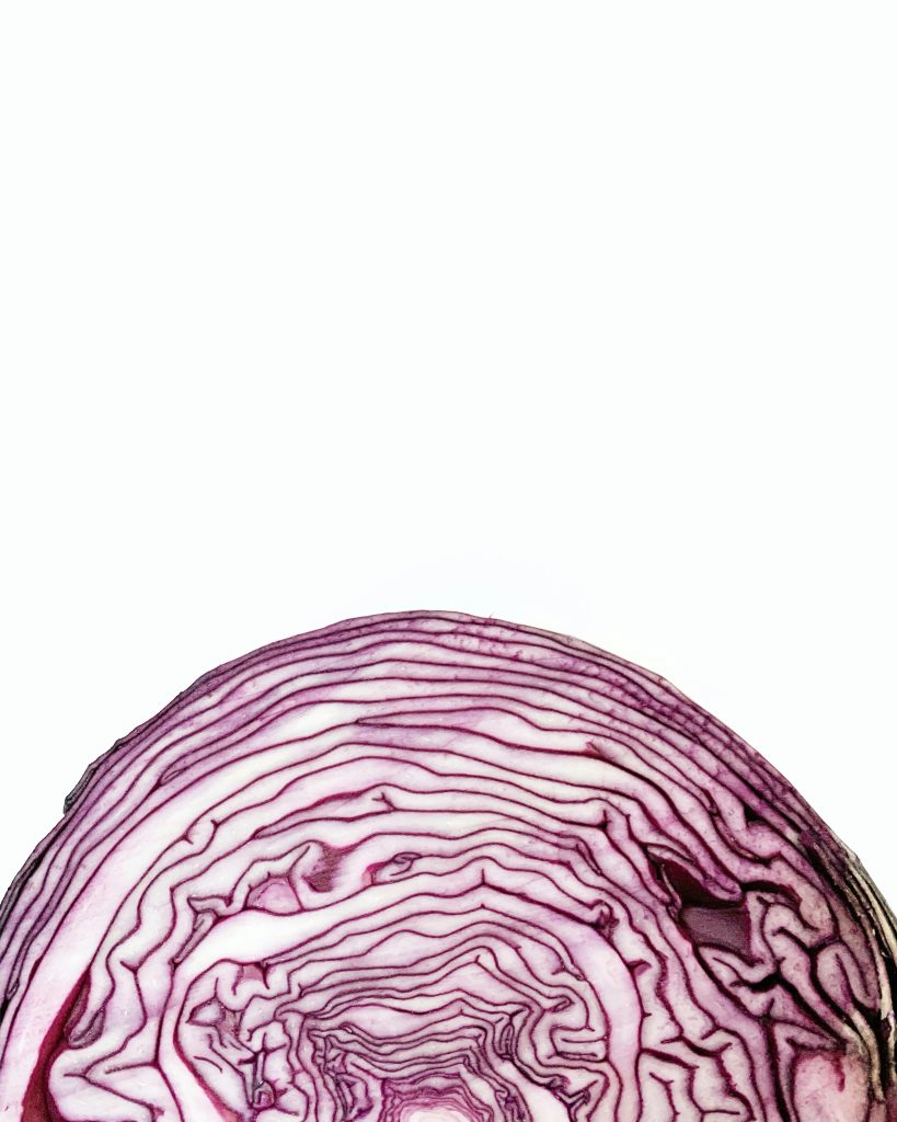 Cabbage