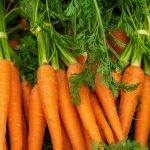 Carrots