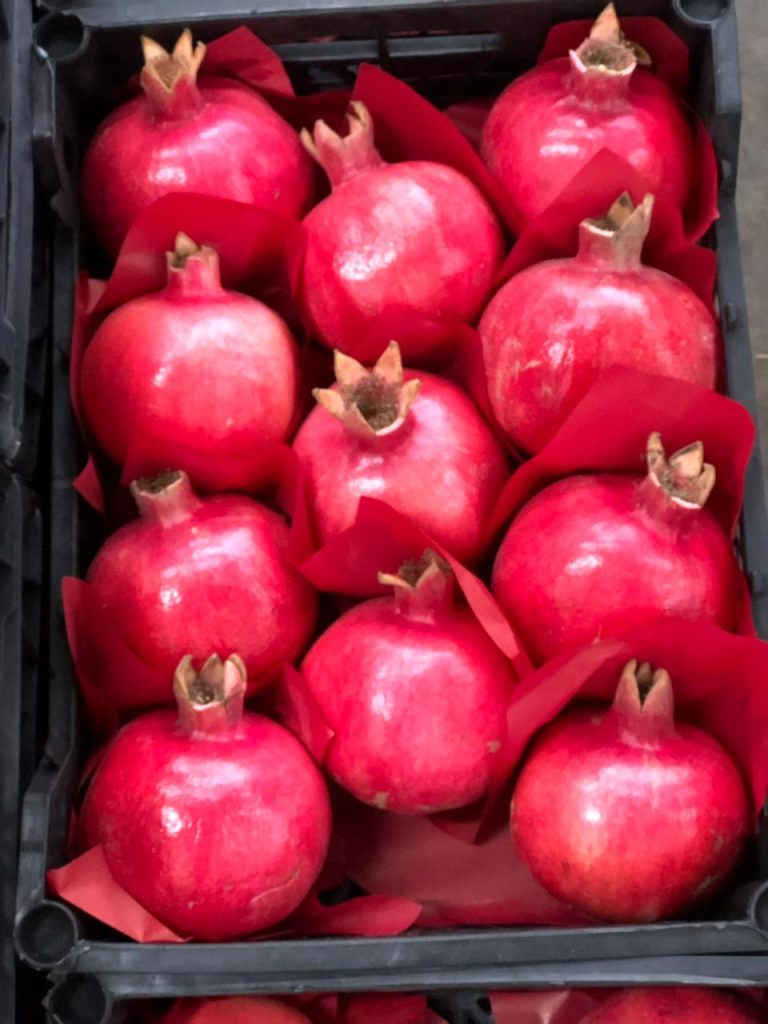 pomegranate4
