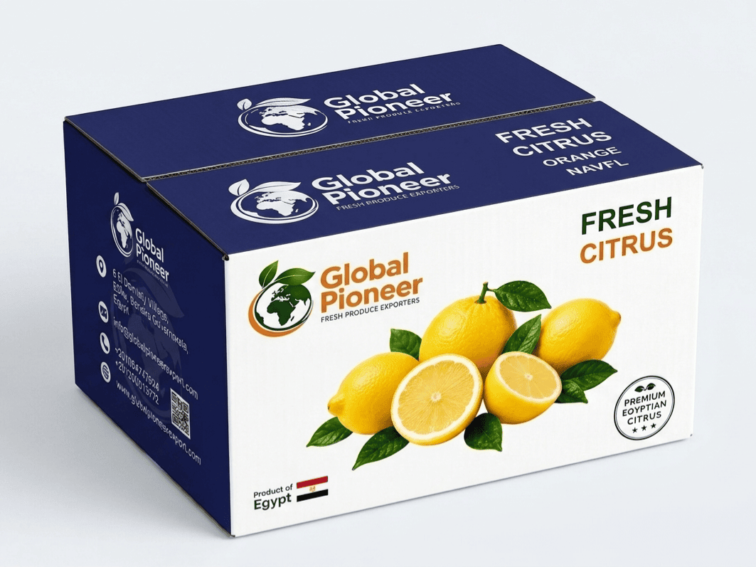 citrus fruits box- egypion fruits