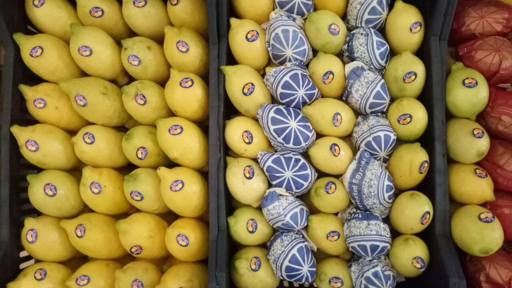 Egyptian lemons export