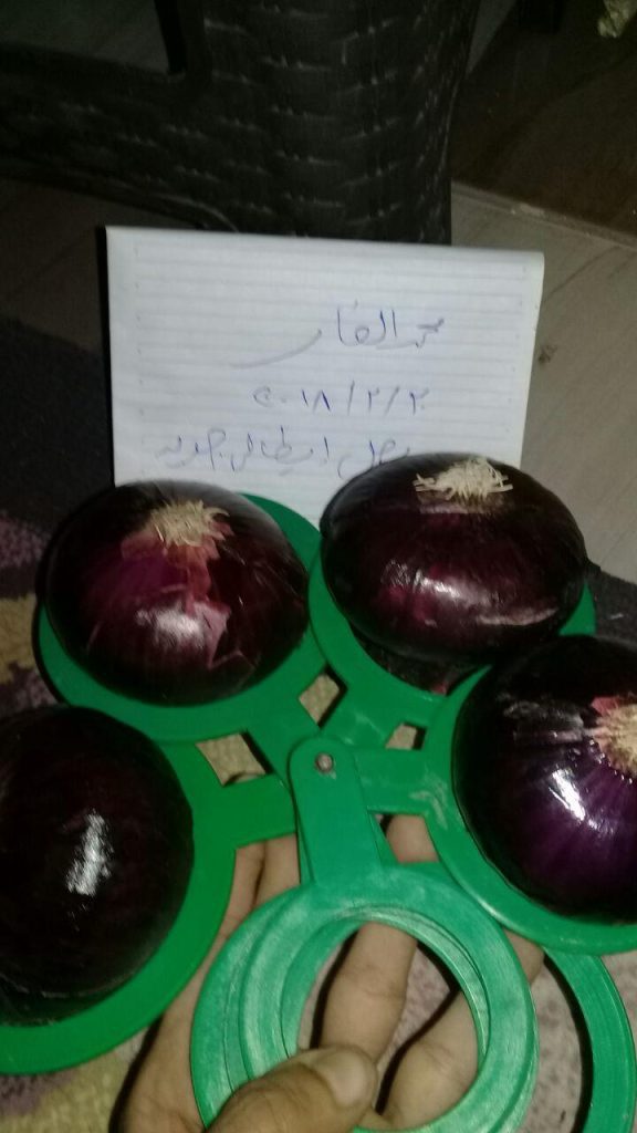Egyptian Red Onions - Global Pioneer Export