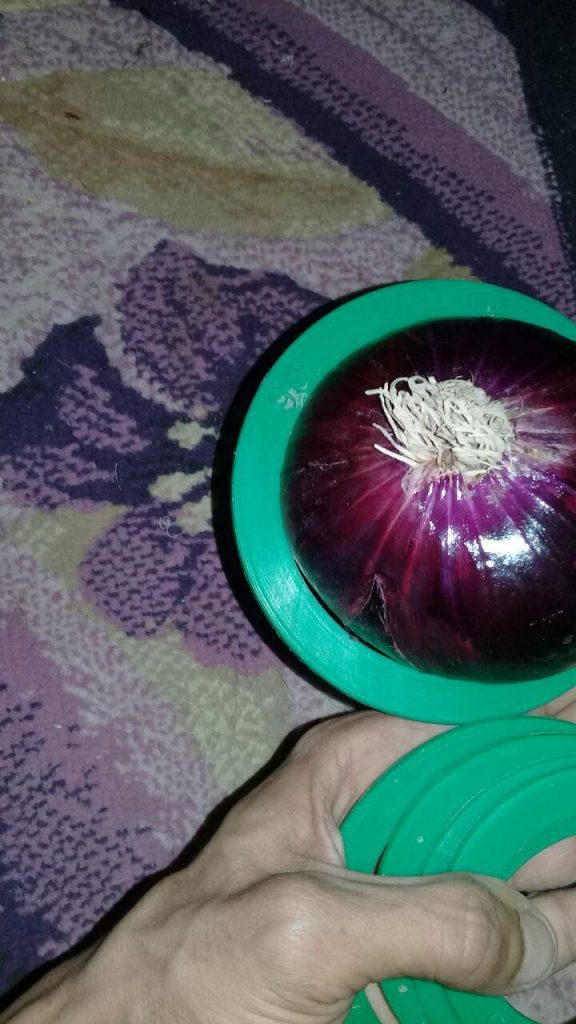 Egyptian Red Onions - Global Pioneer Export