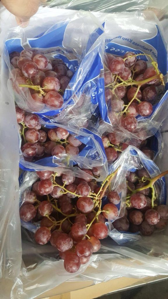 Egyptian Red Grapes