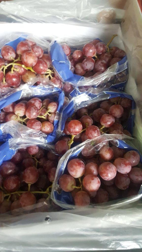 Egyptian Red Grapes