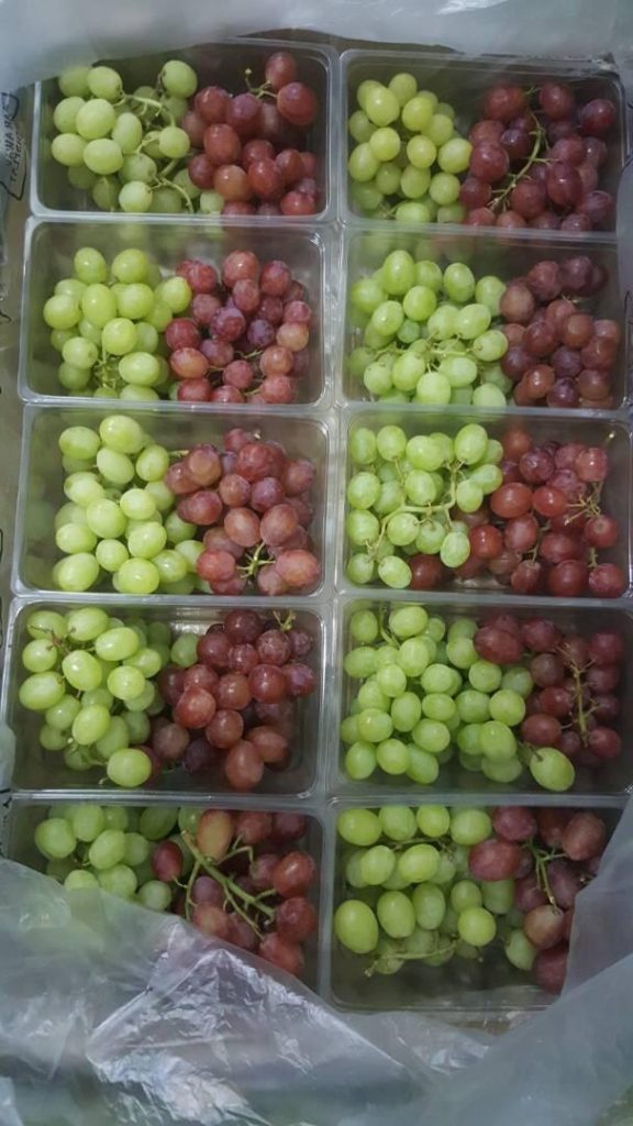 Egyptian Red Grapes