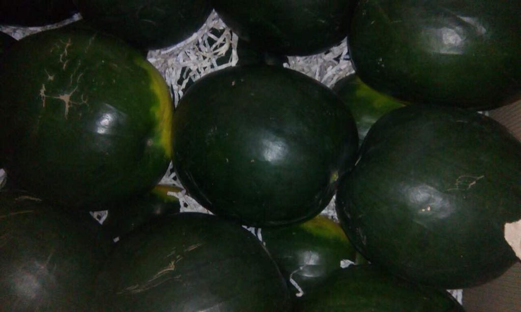 WhatsApp Image 2026 08 27 at 2.05.15 PM 6