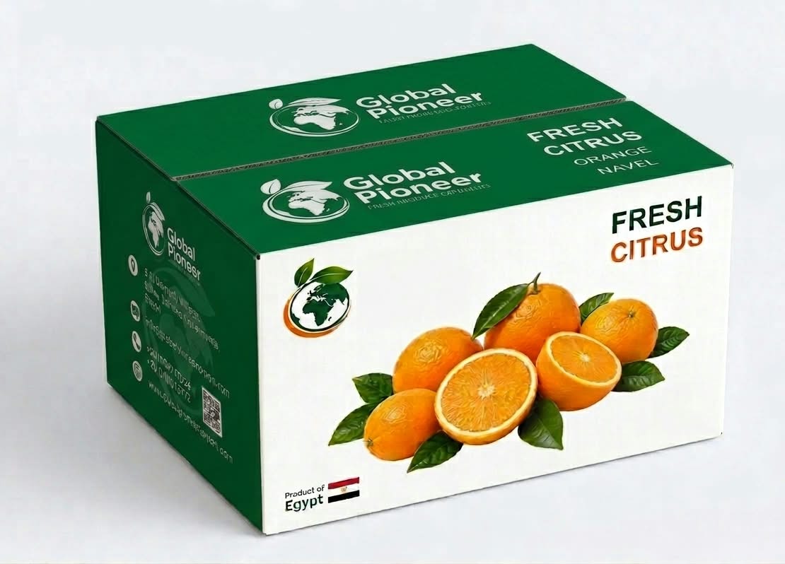 citrus fruits box- egypion fruits